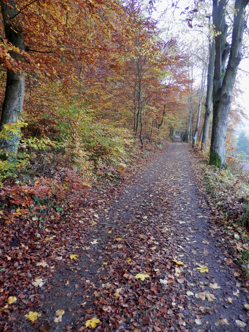 Burg Hohlenfels (2)