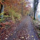 Burg Hohlenfels (2)