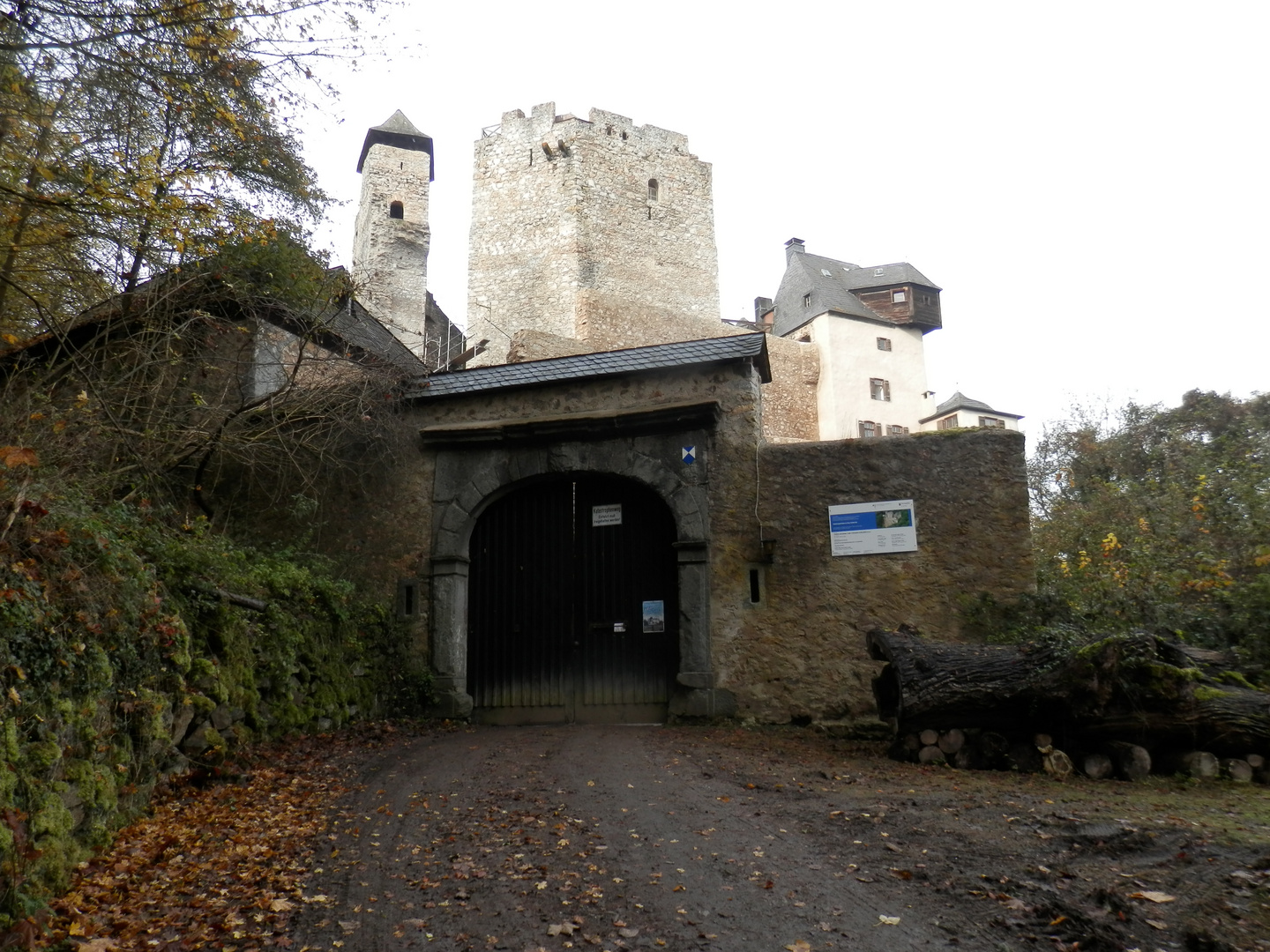 Burg Hohlenfels (3)