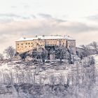 Burg Hollenburg