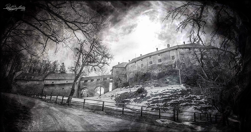 Burg Hollenburg II