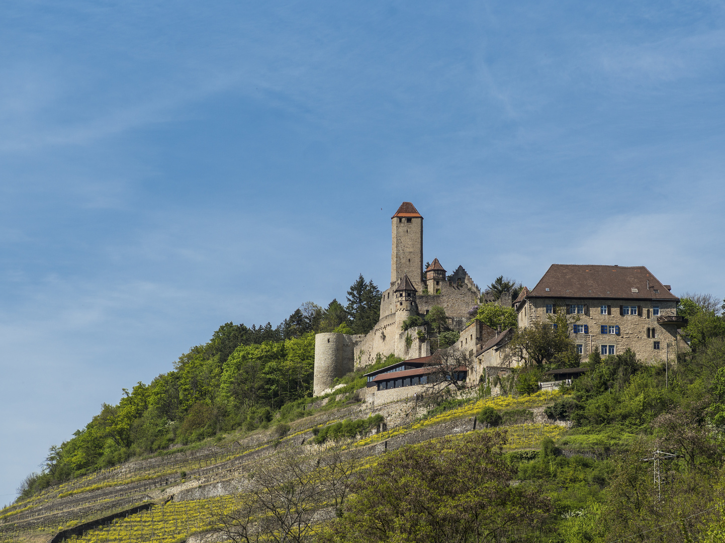 Burg Hornberg