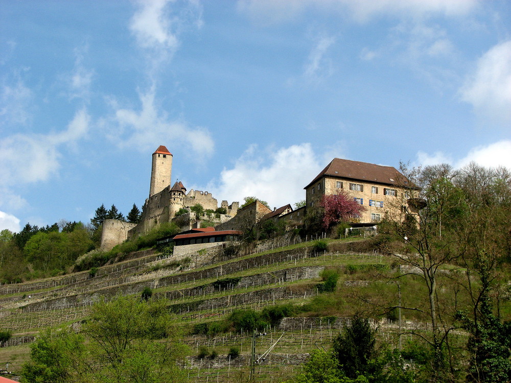 Burg Hornberg Bild 3