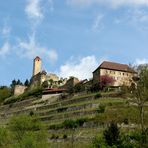 Burg Hornberg Bild 3