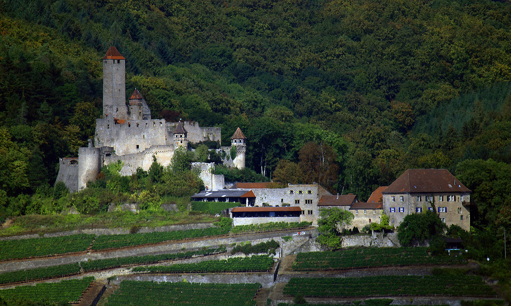 Burg Hornberg