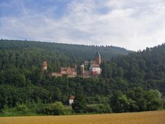 Burg Hornberg (Neckar)