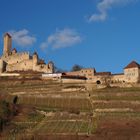 Burg Hornberg-Neckarzimmern