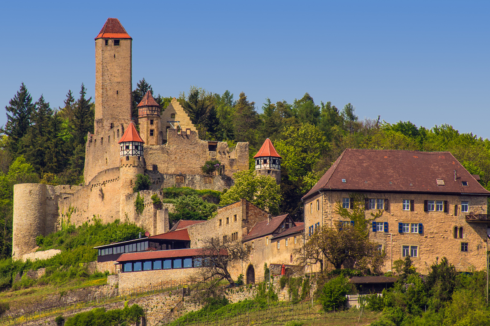 Burg Hornberg über Neckarzimmern