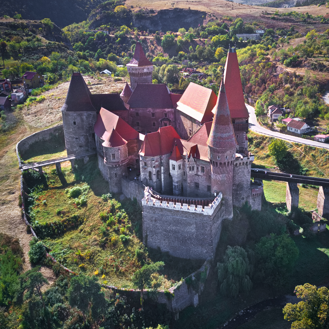 Burg Hunedoara