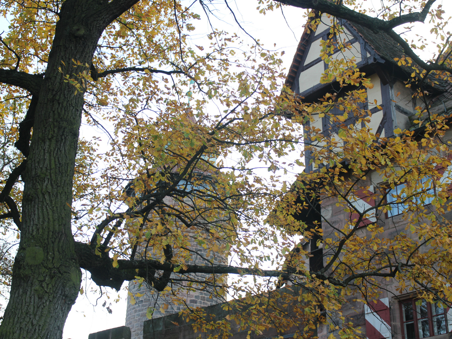 Burg im Herbst