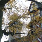 Burg im Herbst