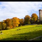 Burg im Herbst