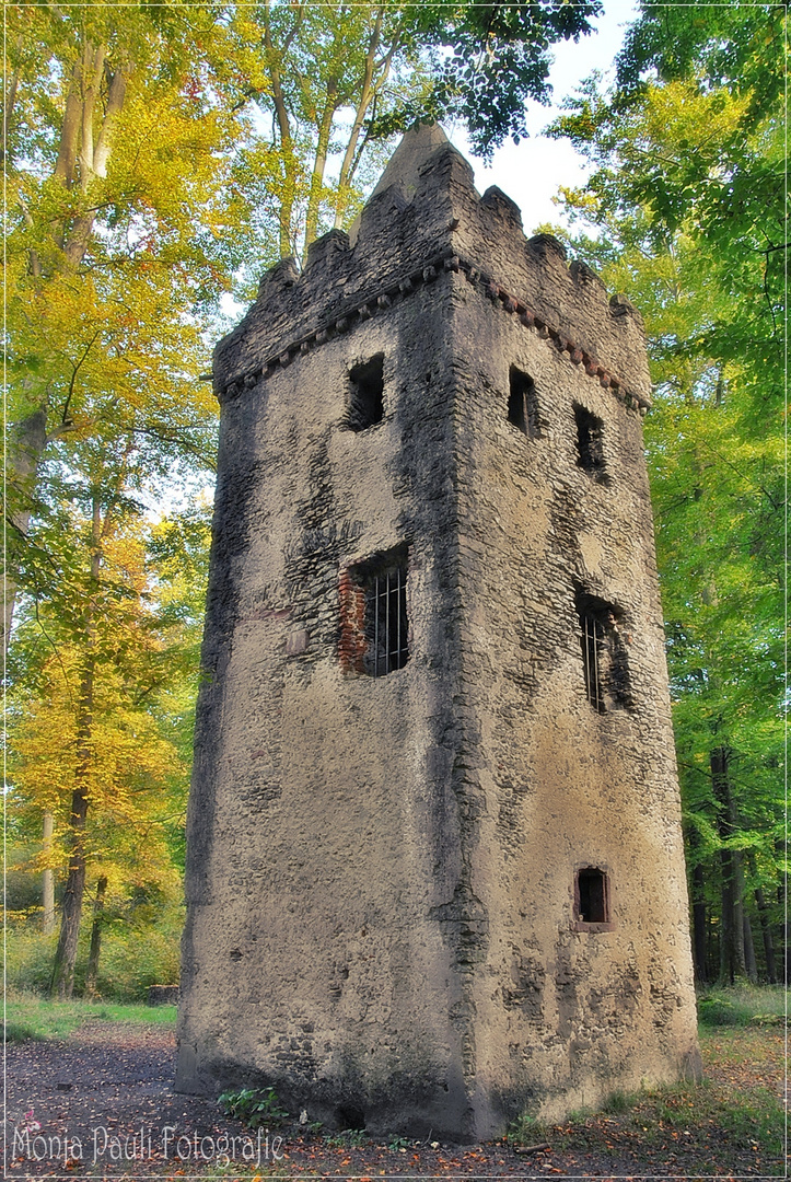 Burg im Herbstwald