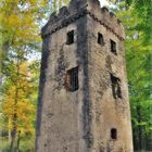 Burg im Herbstwald