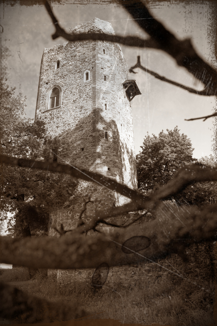 Burg im Machener Schlosspark