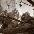 Burg im Machener Schlosspark