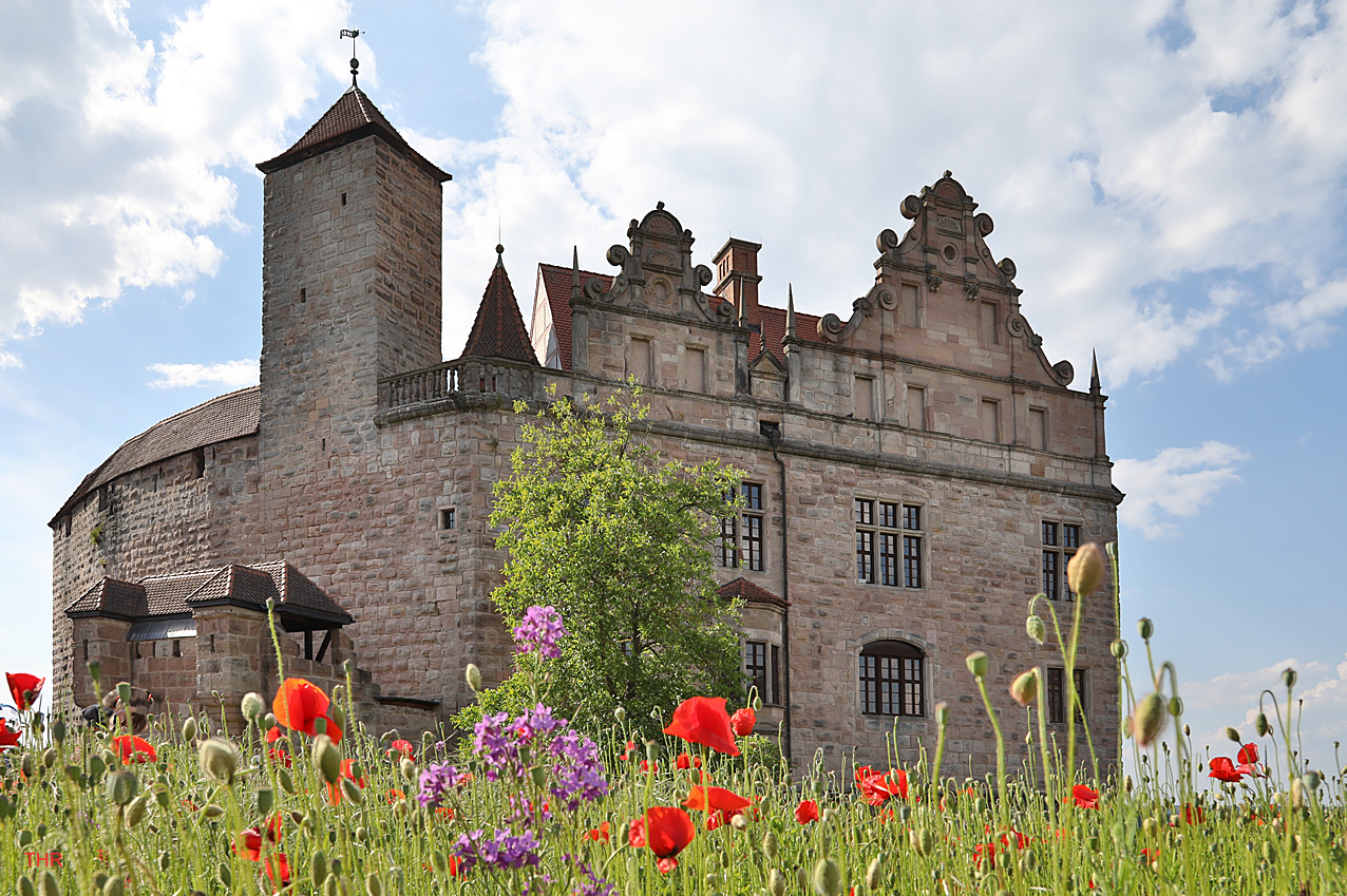 Burg im Mohn