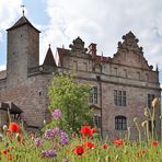 Burg im Mohn