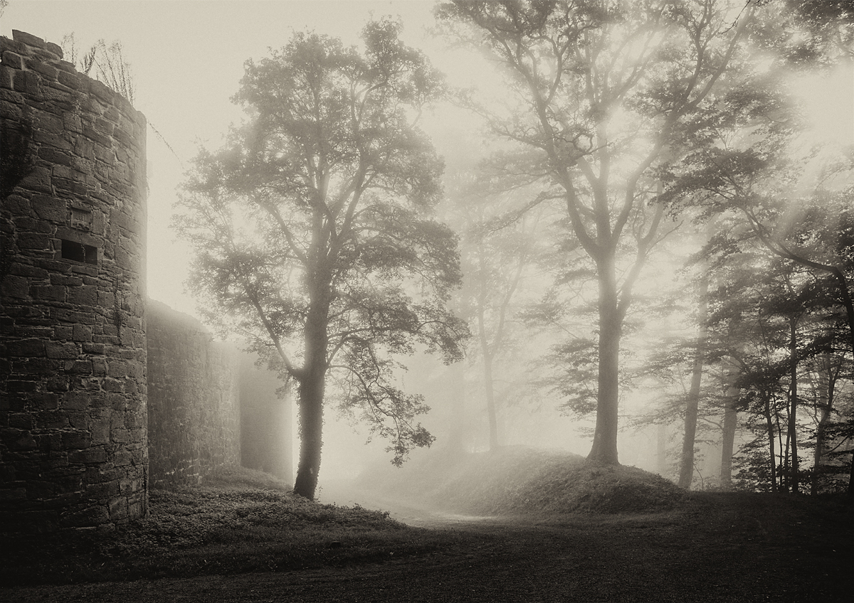 Burg im Nebel