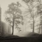 Burg im Nebel