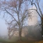 Burg im Nebel