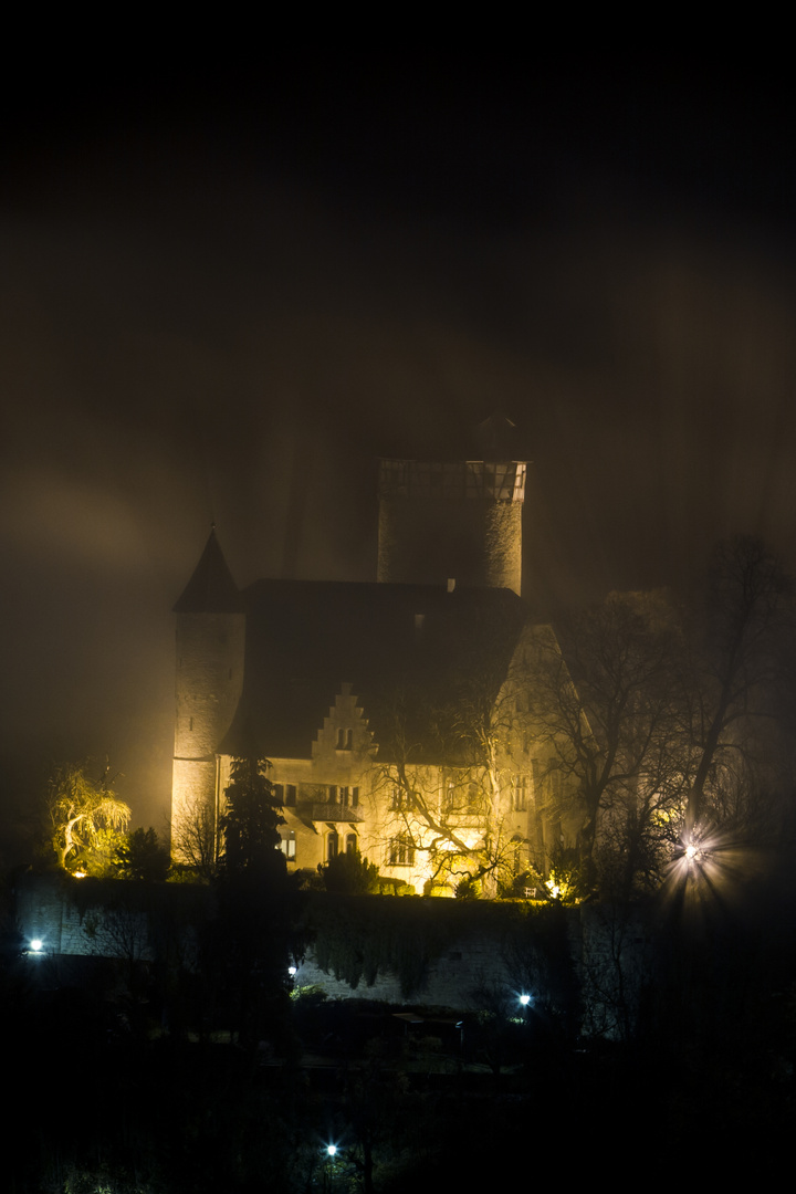 Burg im Nebel