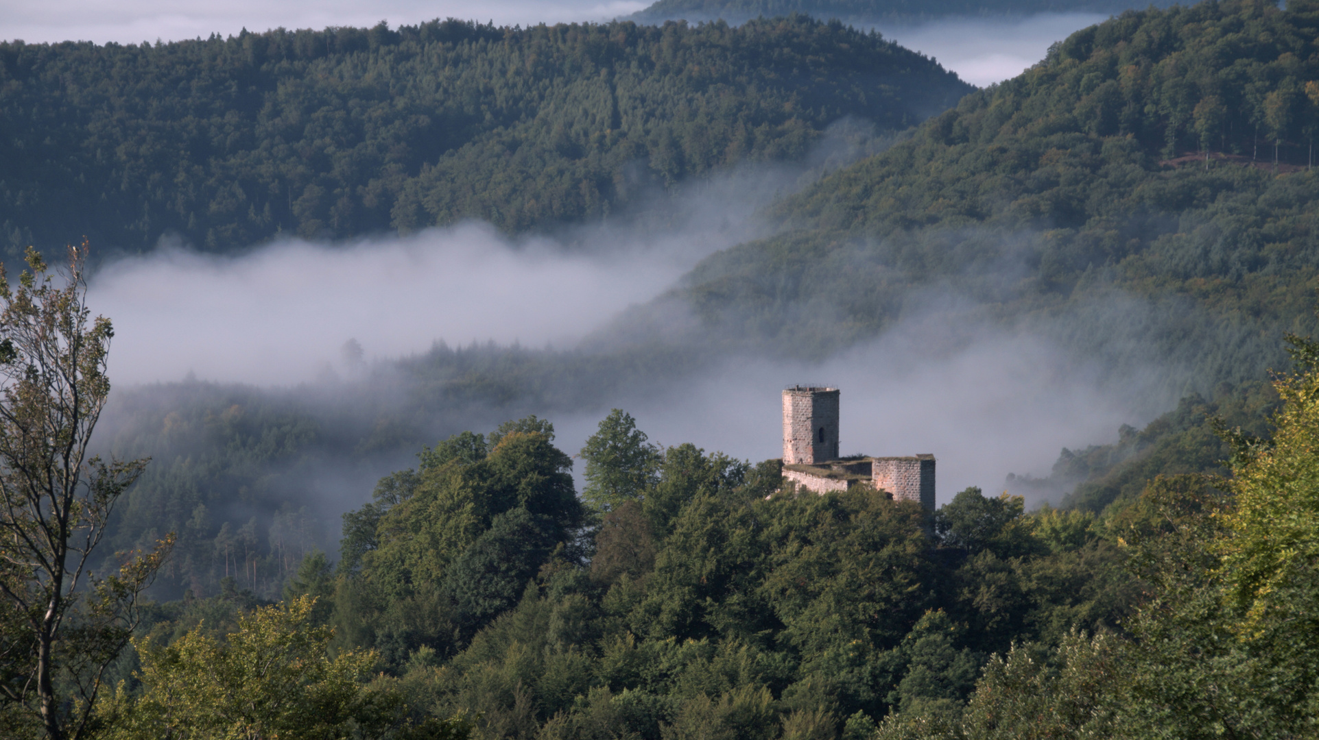 Burg im Nebel