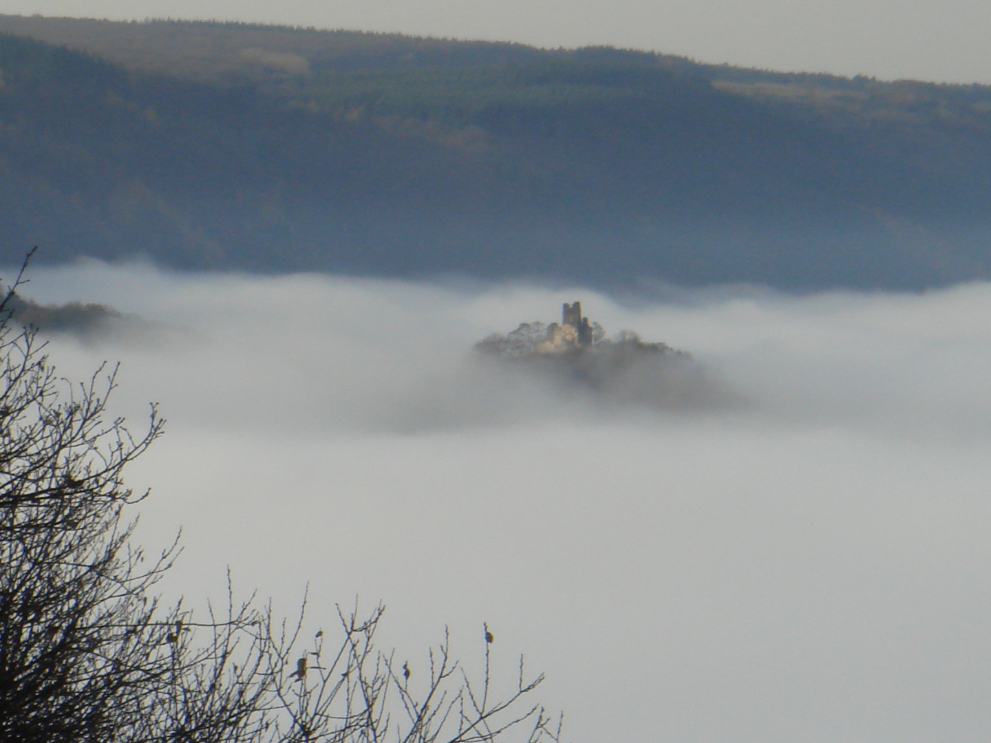 Burg im Nebel