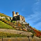 Burg im Rheingau