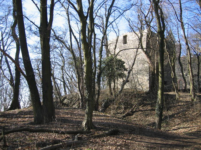 Burg im Wald