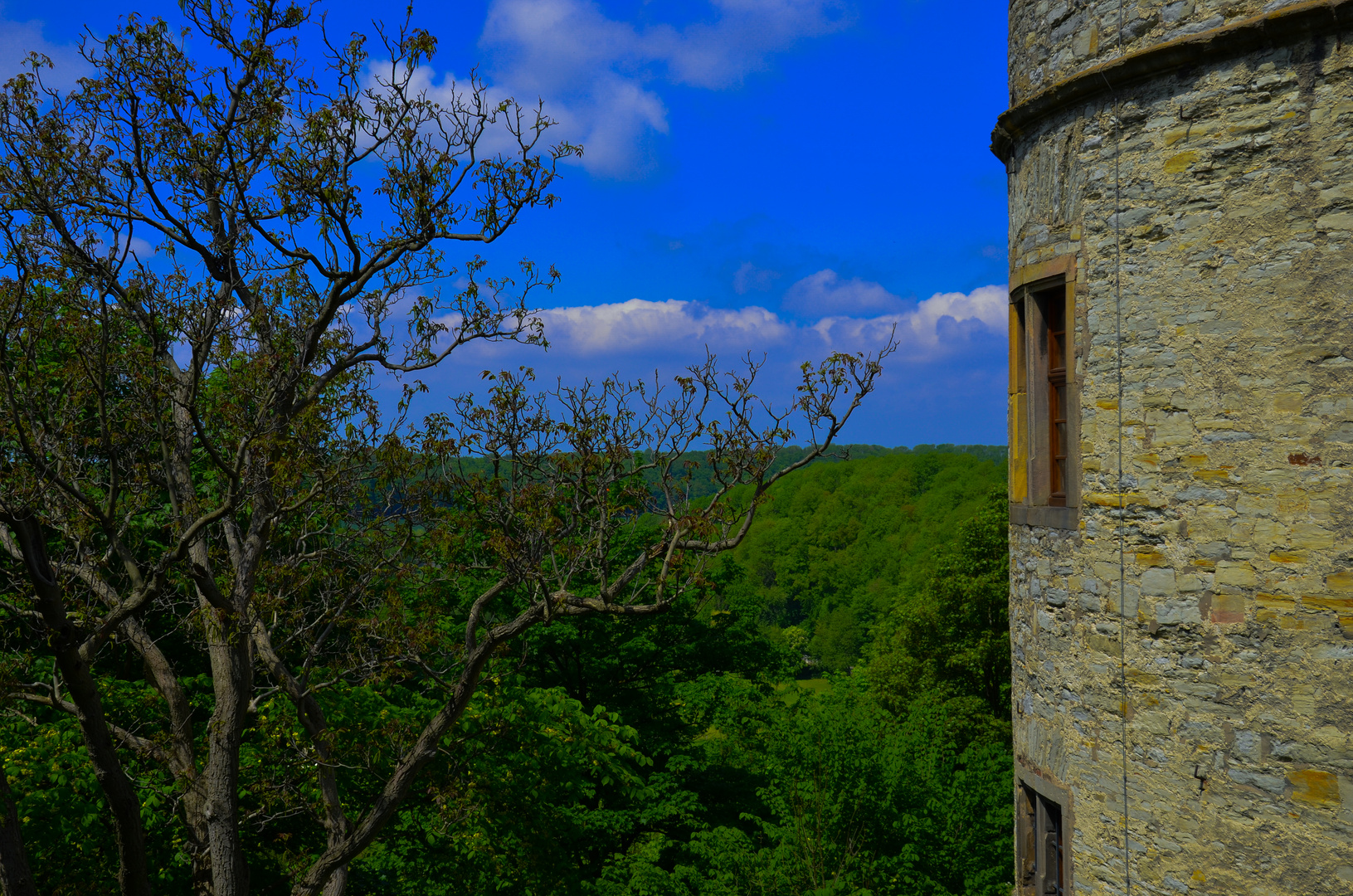 Burg in der Natur