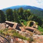 Burg in der Pfalz