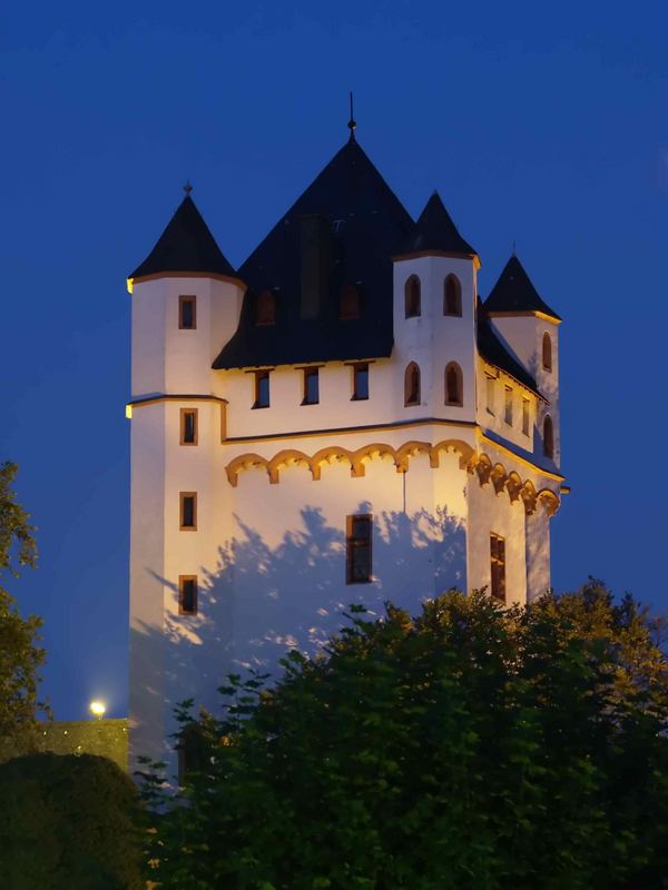 Burg in Eltville am Rhein