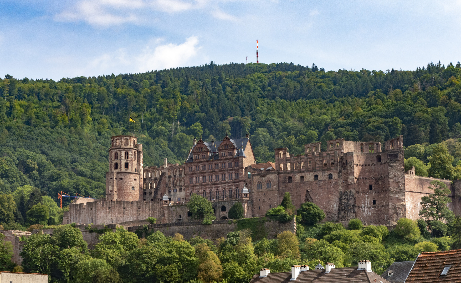 Burg in Heidelberg