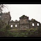 Burg in Irland