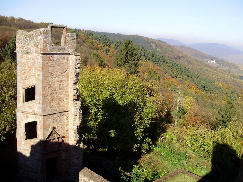 Burg in Landau