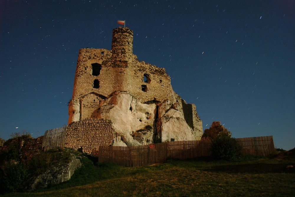Burg in Mirow / zamek w Mirowie