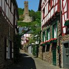 Burg in Monreal