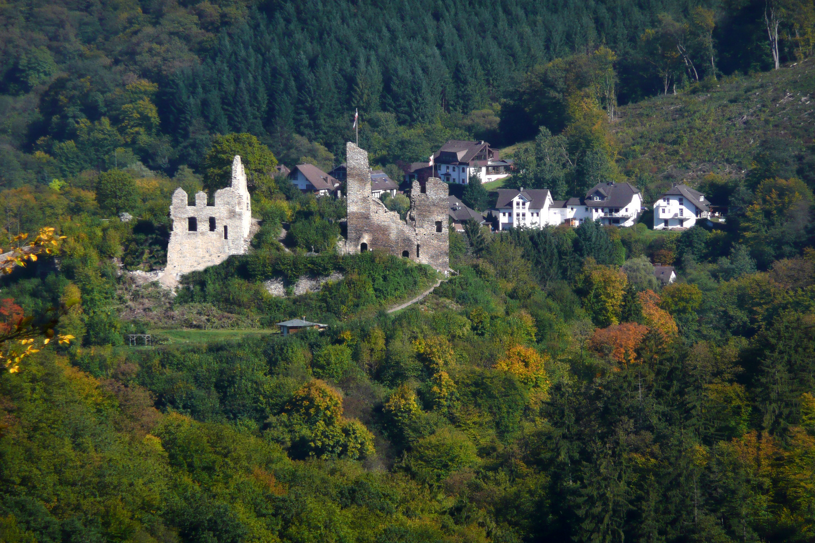 Burg Isenburg im Saynbachtal Westerwald Foto & Bild architektur