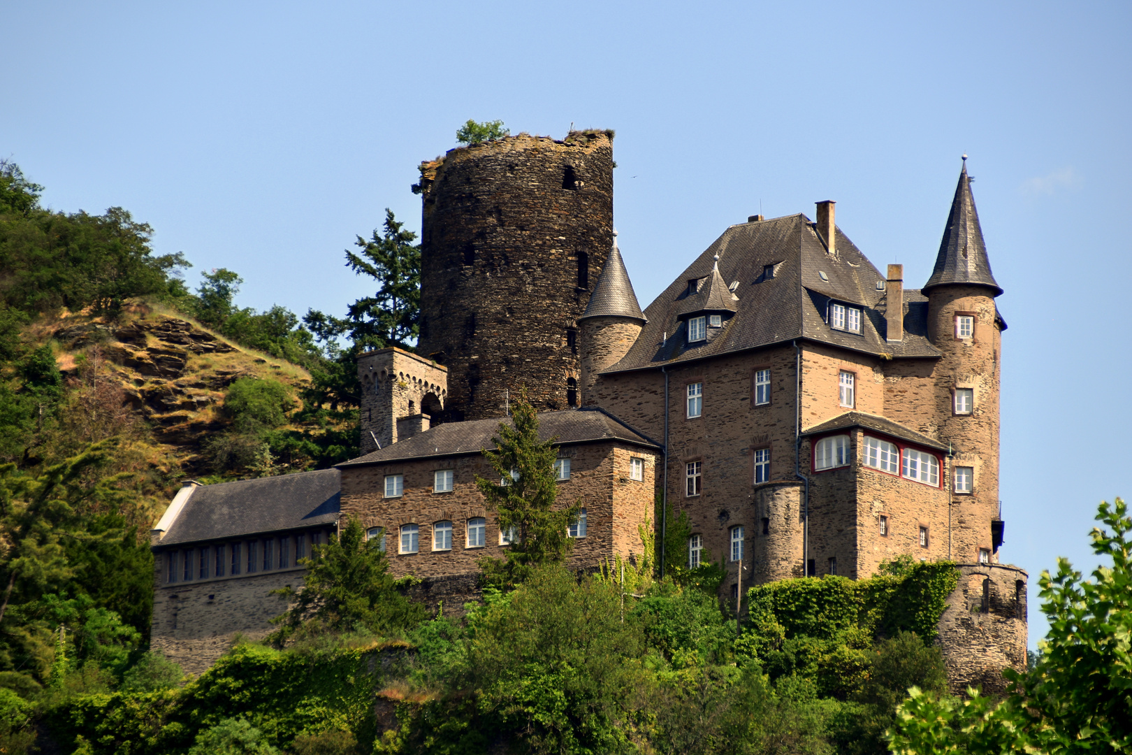 Burg Katz