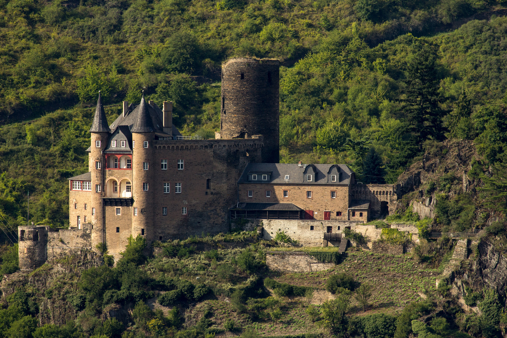 Burg Katz