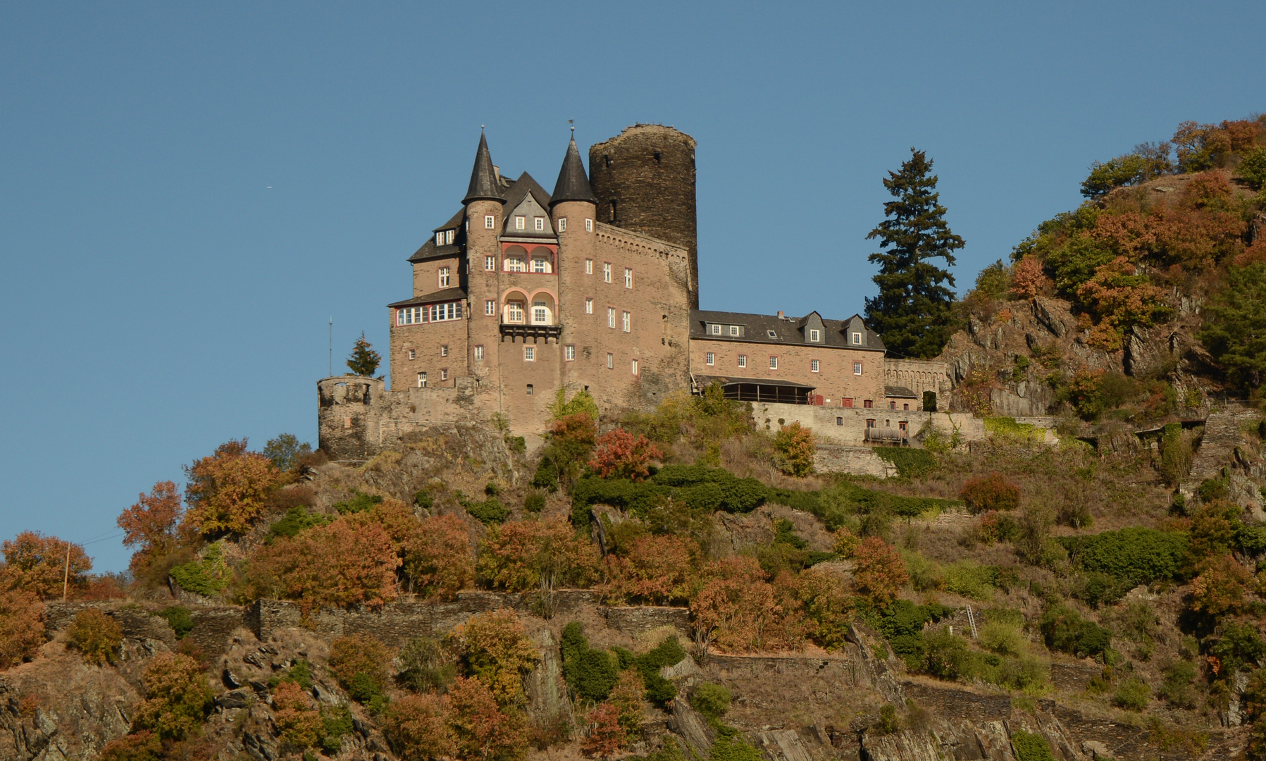 Burg Katz 