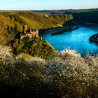 Burg Katz, Mittelrhein und Loreley von Patersberg