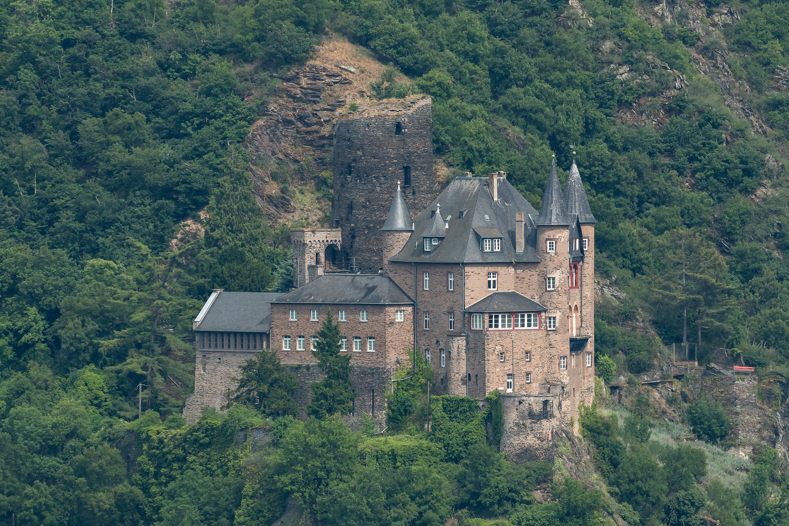 Burg Katz oberhalb von St. Goarshausen (Rhein)