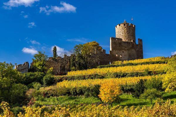 Burg Kaysersberg