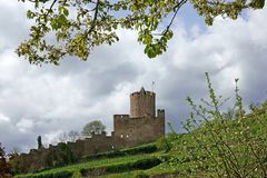 Burg Kaysersberg