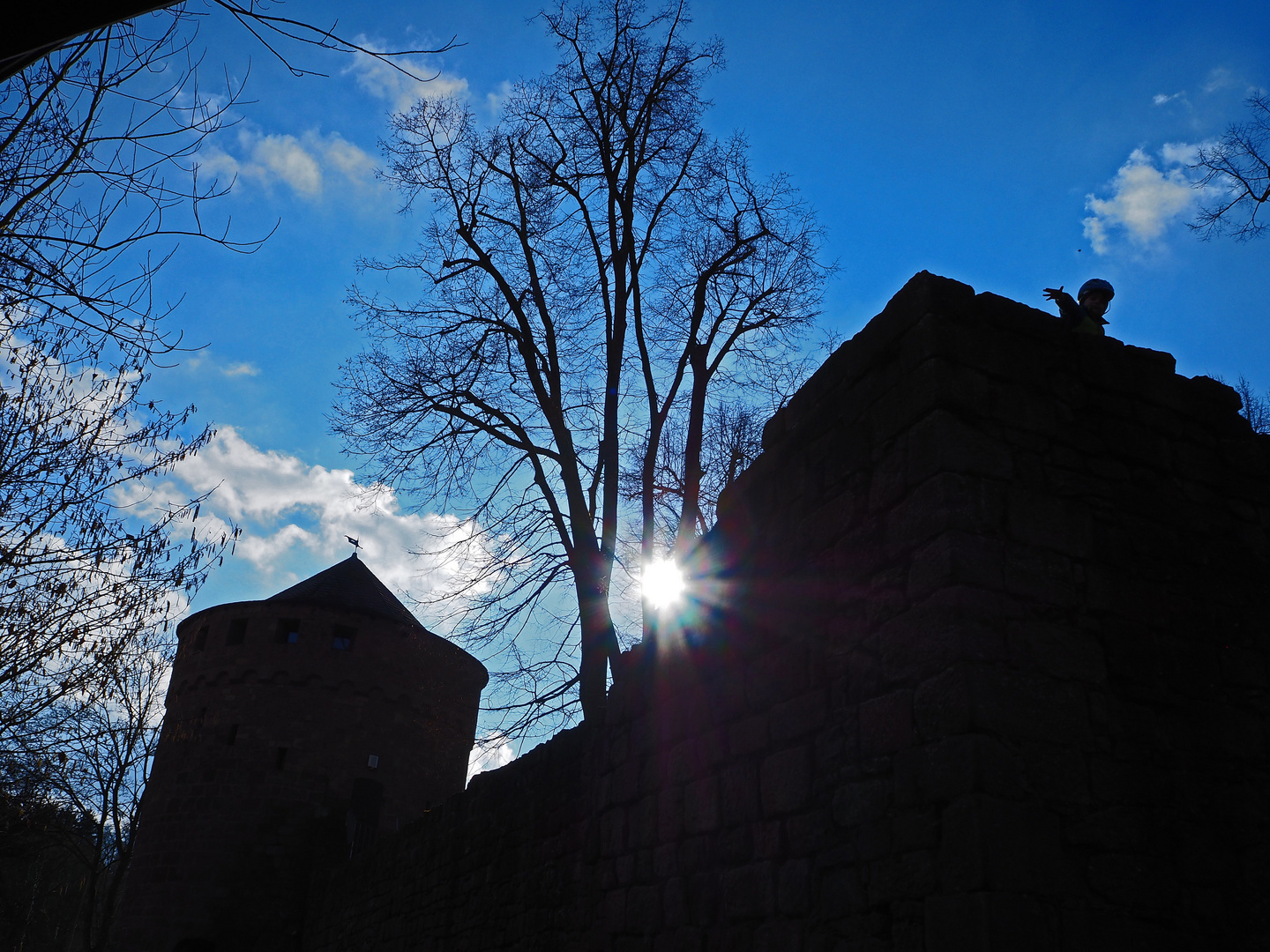 Burg Kerpen (Illingen) im Gegenlicht