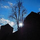 Burg Kerpen (Illingen) im Gegenlicht