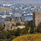 Burg Klopp