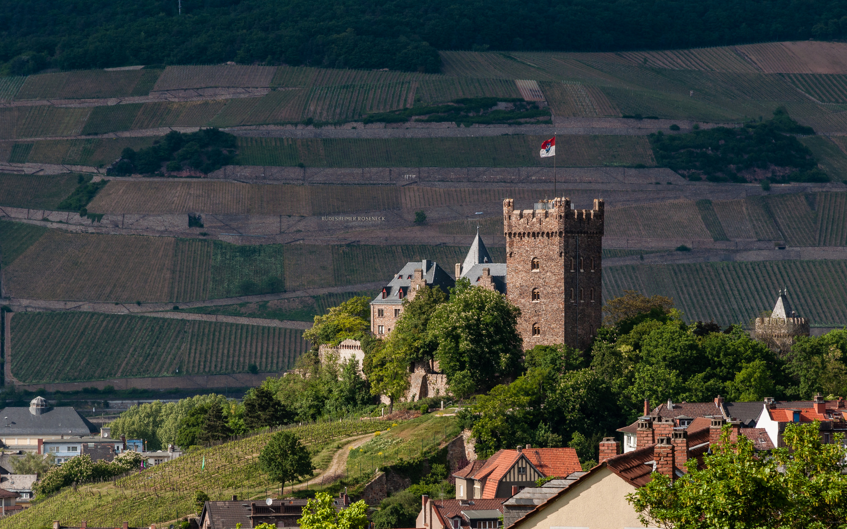 Burg Klopp